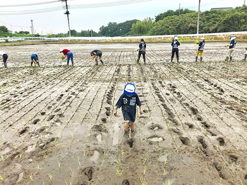 就労継続支援