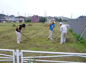 除草委託作業